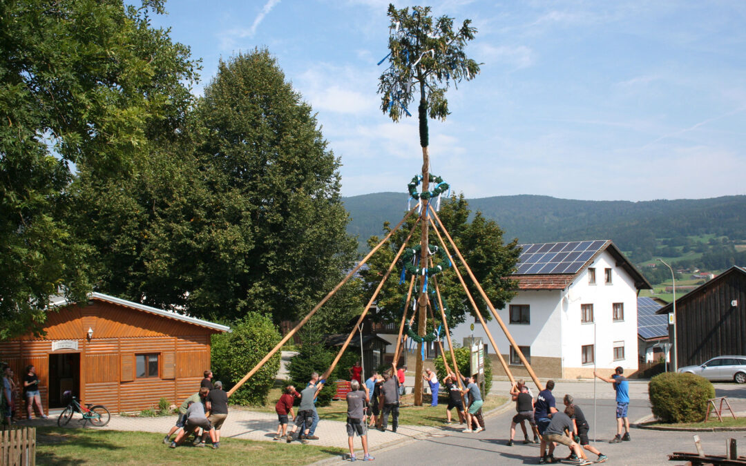 Der Rieder Kirta-Baum steht