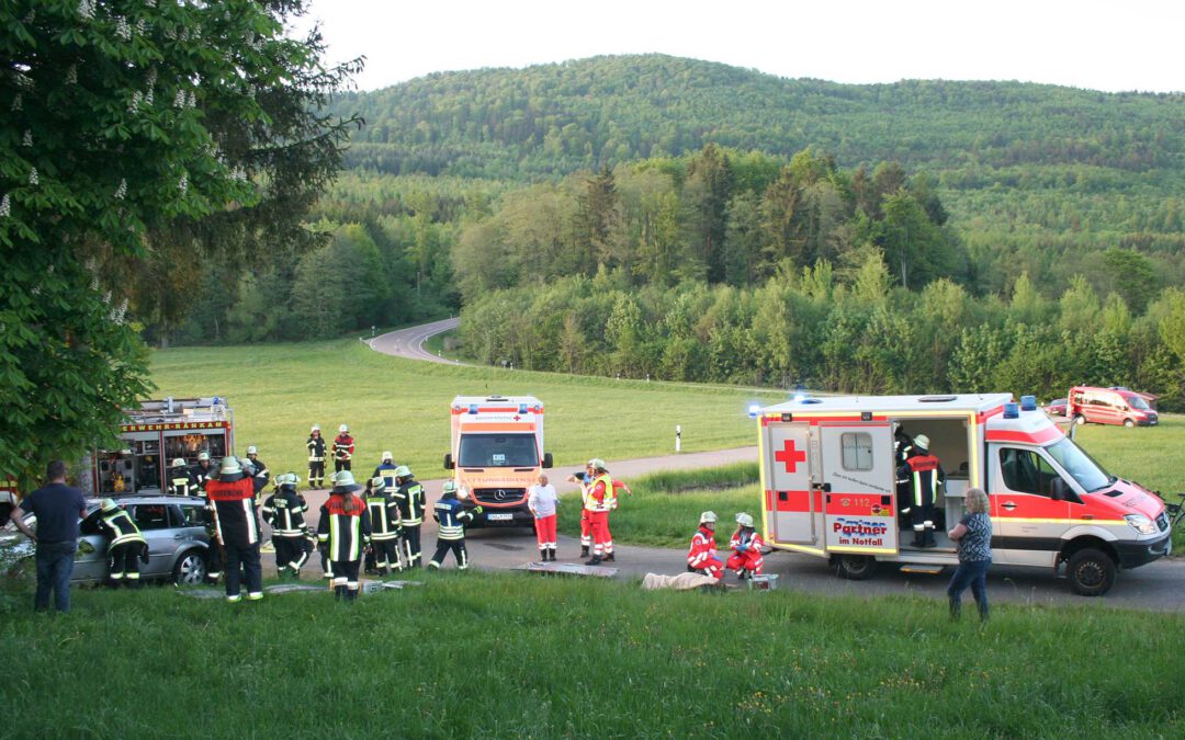 „Medizinischer Notfall am Steuer“