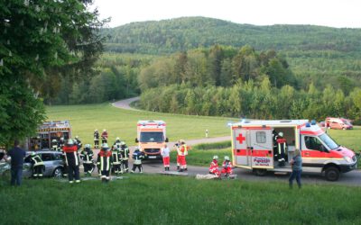 „Medizinischer Notfall am Steuer“