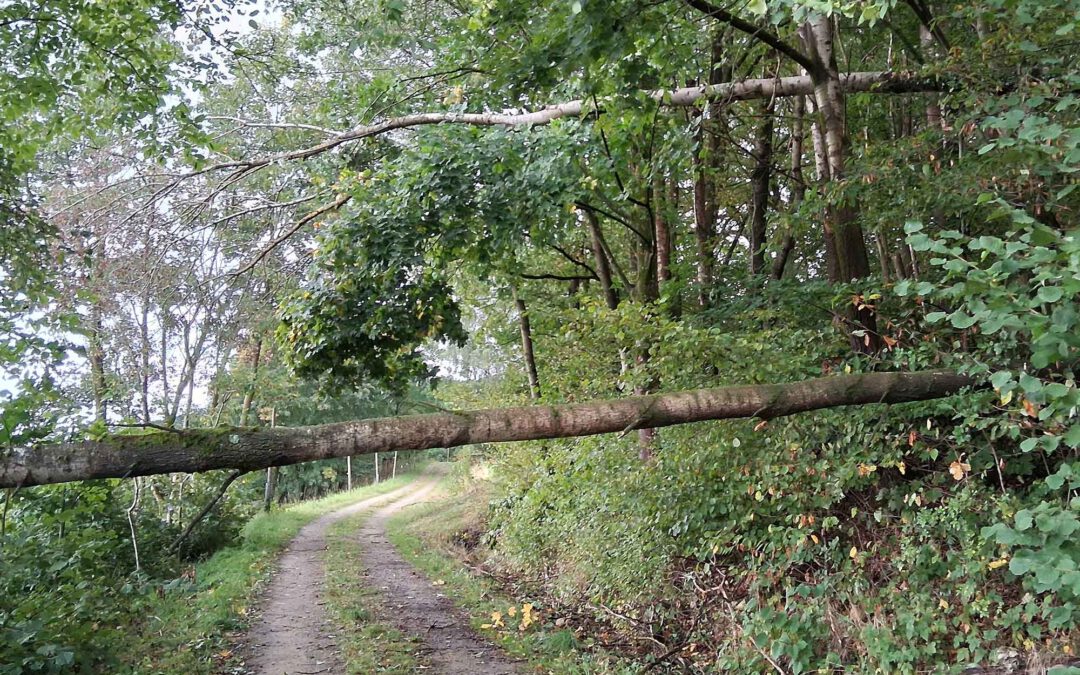 Wirtschaftsweg ist gesperrt