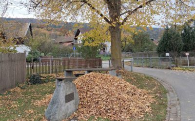 „Raus aus dem Haus“