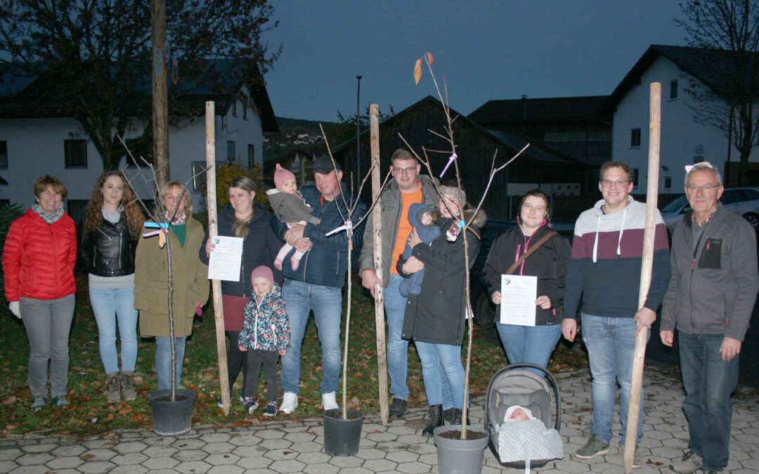 Bäume für die Zukunft