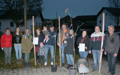 Bäume für die Zukunft