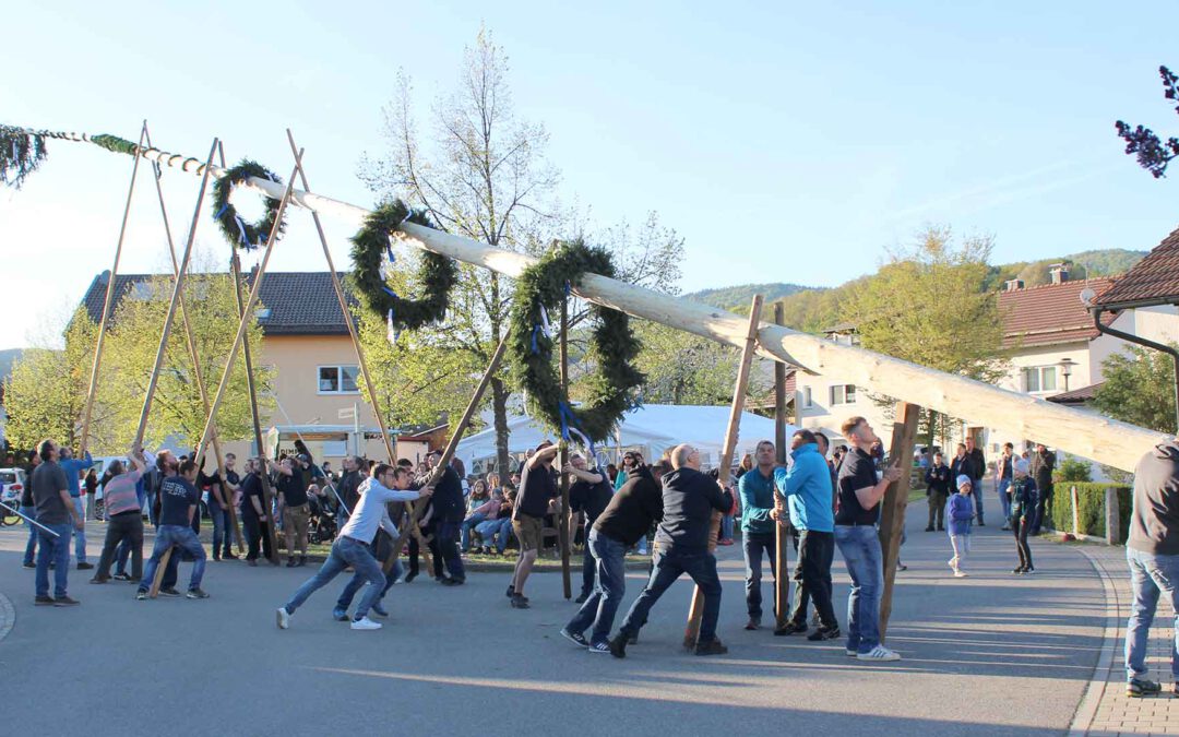 Zum Brauchtum gehört auch Muskelkraft